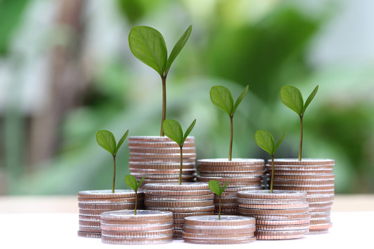 young plant grown to stack silver coin in business growth concep