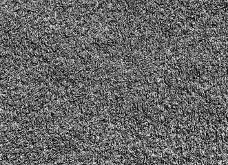 Decorative black and white grass loan texture. Sport and leisure
