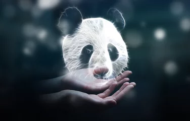 Foto auf Acrylglas Panda Person, die fraktale gefährdete Panda-Abbildung 3D-Rendering hält