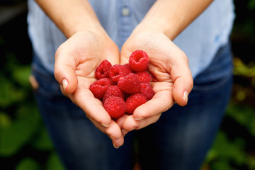 Handful of fresh raspberries