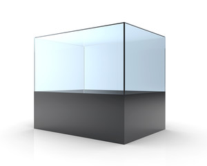 3D illustration of empty glass showcase