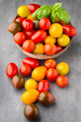 Tomatoes on the gray background. Colorful tomatoes, red tomatoes