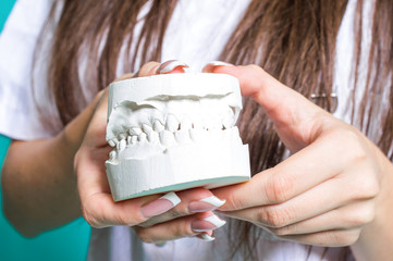 Hand of dentist holding dental plaster model