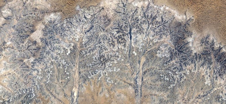 Stone tree plant fantasy,Abstract Naturalism,abstract photography deserts of Africa from the air,abstract surrealism,mirage in desert,fantasy forms and colors in the desert,plants,flowers,leaves,roots