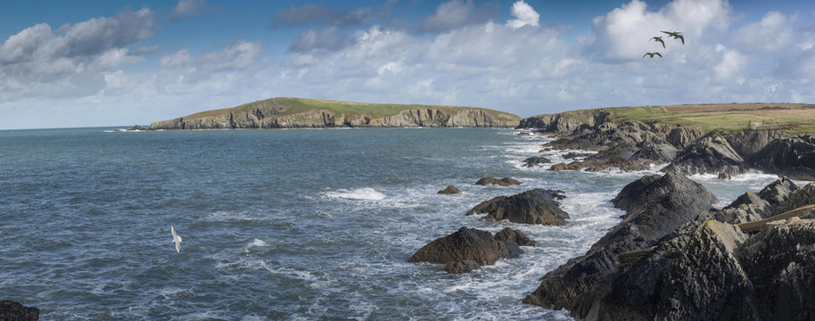 Cardigan Island Wales