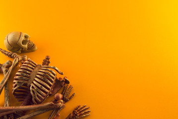bone dead body on orange ground