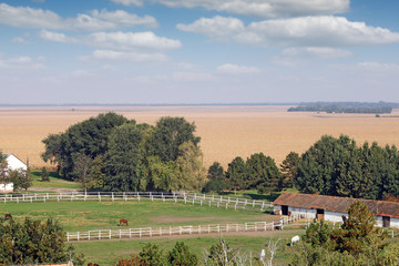 farm with horses in corral landscape