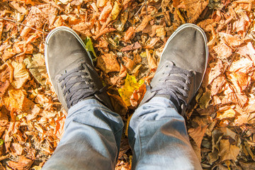 Legs in trousers and black sneakers in autumn orange leaves

