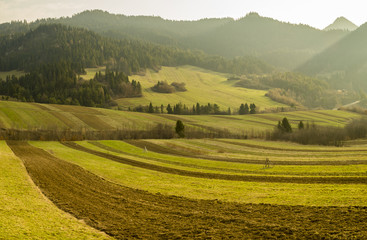Wiosna w Pieninach