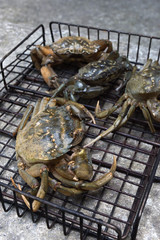 Fresh crabs in a grill, vertical image
