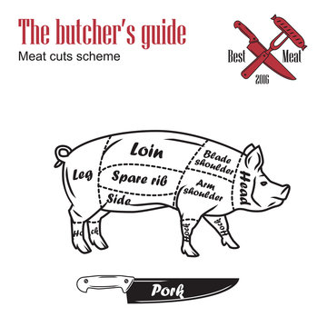 Butcher guide vector illustration. Cut scheme pork. Pig meat vintage