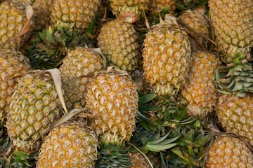 Set of many pineapples