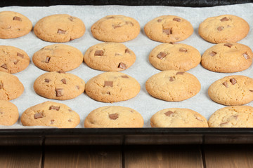 Homebaked Chewable Butter Biscuits With Milk Chocolate Chunks On