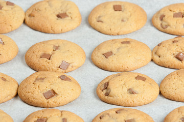 Homebaked Chewable Butter Biscuits With Milk Chocolate Chunks On