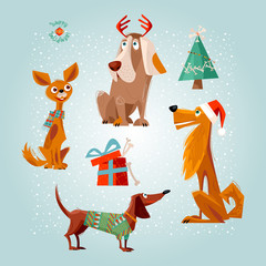 Fototapeta premium Holiday for dogs. Four dogs and gift box with bones. Christmas greeting card. 