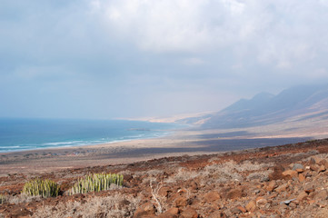 Fuerteventura, Isole Canarie: i cactus e la vista sulla spiaggia di Cofete, una delle spiagge più selvagge dell'isola con alle spalle montagne altissime, il 7 settembre 2016