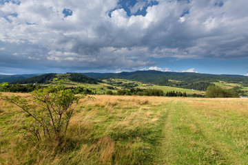 Idyllic scenery with meadow in the environment of trees, mountains and clouds on blue sky. Pieniny National Park. Poland