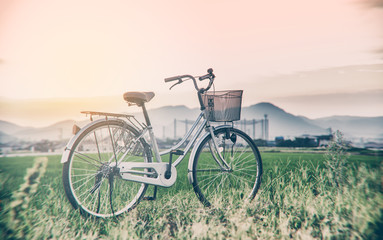 Fototapeta na wymiar Bicycle park beside rice field against evening light