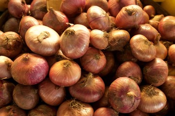 Set of many Shallots