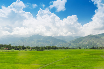 Green field and blue sky