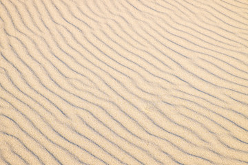 Yellow rippled sand in desert.