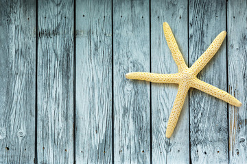 Fototapeta na wymiar Decorative white sea star
