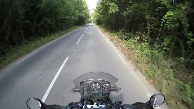 Riding by the Woods on Motorcycle Travel Adventure