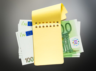 One hundred euro banknotes and yellow notepad