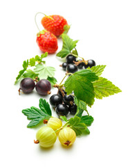 Fresh black currant, gooseberry and strawberry