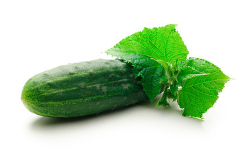 Fresh green cucumbers with leaves
