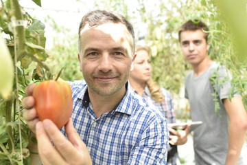 Portrait of market gardener in greenhouse