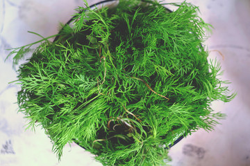 Fototapeta premium Dill in a village on the table