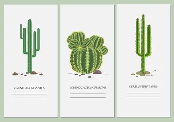 Foto op Canvas Business cards set with a cactus design. © Toltemara