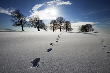 Spuren im Schnee © Juergen Wiesler