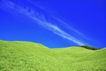 Foto op Canvas 草原の丘 © omune