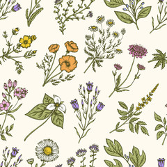 Naklejki  Dzikie kwiaty i zioła. Kwiatowy wzór. Vintage ilustracji wektorowych.