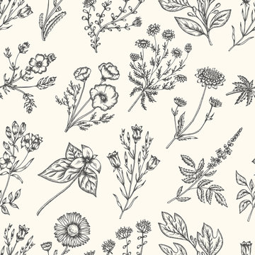 Wild flowers and herbs. Seamless floral pattern. Vector vintage illustration.