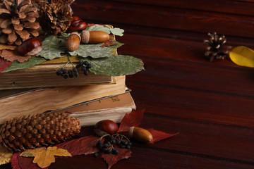 Obraz na płótnie Canvas Autumn comncept with books, cones, acorns, chestnuts and dried h