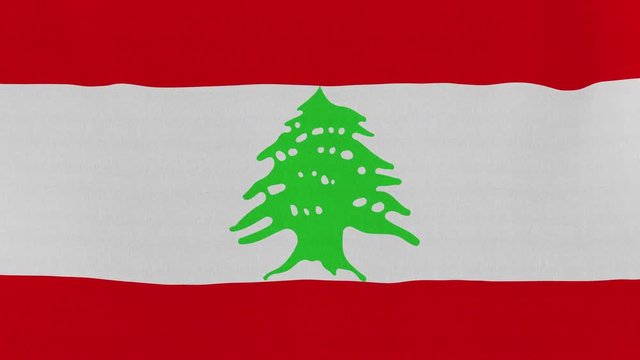 Loopable: Flag of Lebanon...Lebanese official flag gently waving in the wind. Highly detailed fabric texture for 4K resolution. 15 seconds loop.