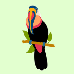 toucan bird vector illustration style Flat