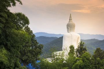 behind white buddha statue in forest and  sunset