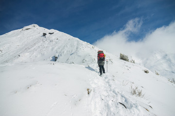 Naklejka na ściany i meble Woman tourist with a backpack climbs in snowy mountain