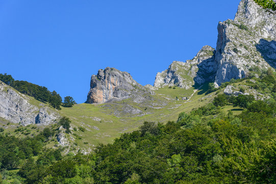 Forest, mountain pasture and cliffs at Pic du Gar, in the Pyrene