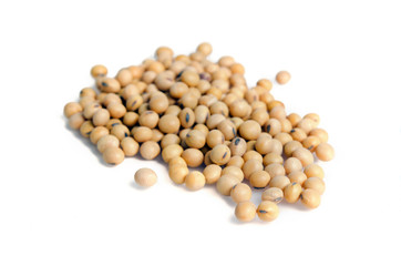 Soybean or soy bean isolated on white background