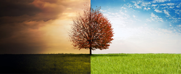 Sommer-Herbst