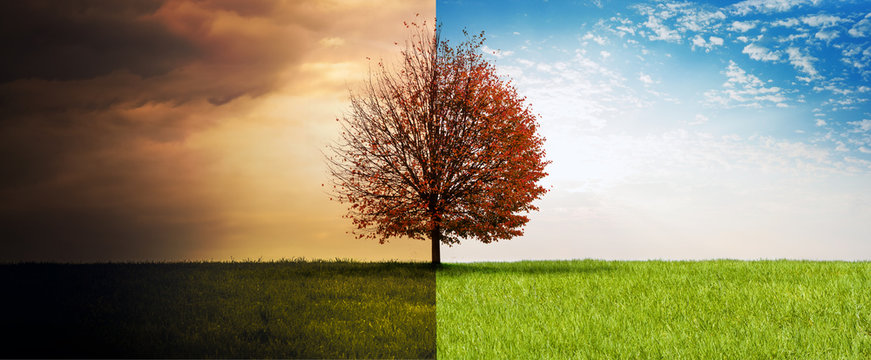 Sommer-Herbst