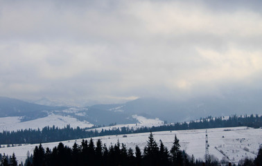 Carpathian mountains in Ukraine. Winter landscape