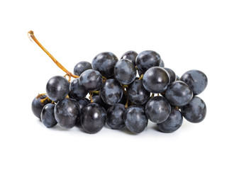 Ripe black grapes