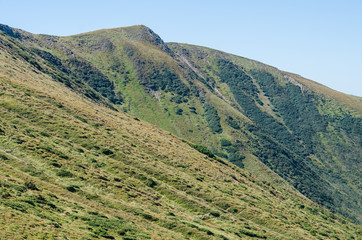 The gentle slope of the mountain