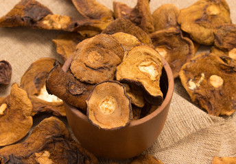 Dried mushrooms on canvas